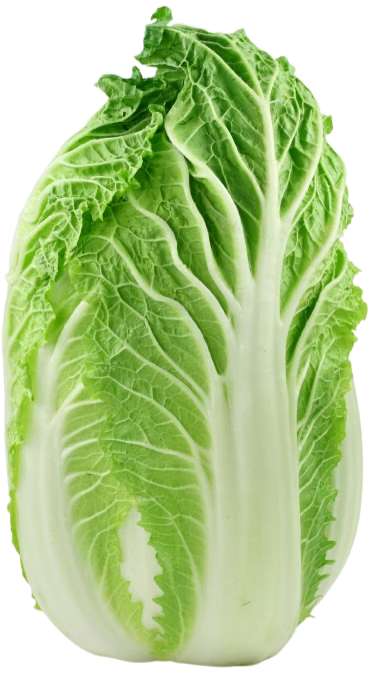 Norsk Kinakål