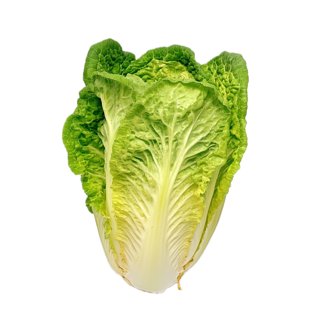 Hjertesalat pk