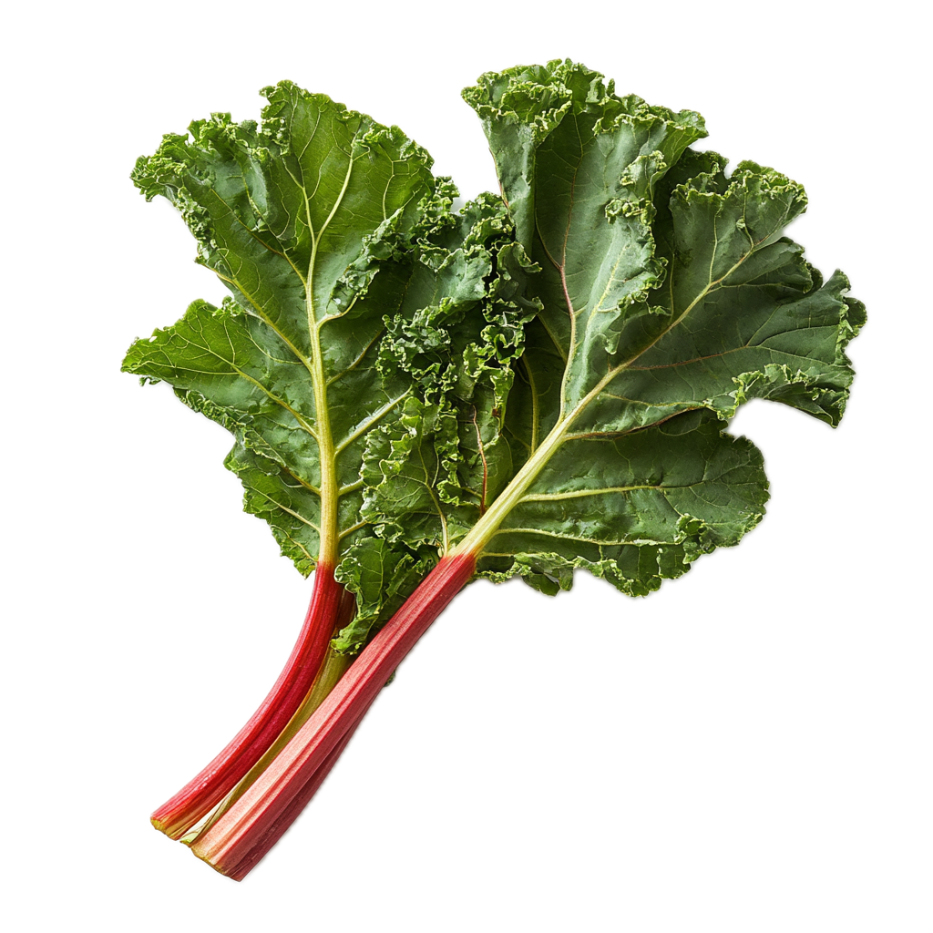 Rabarbra