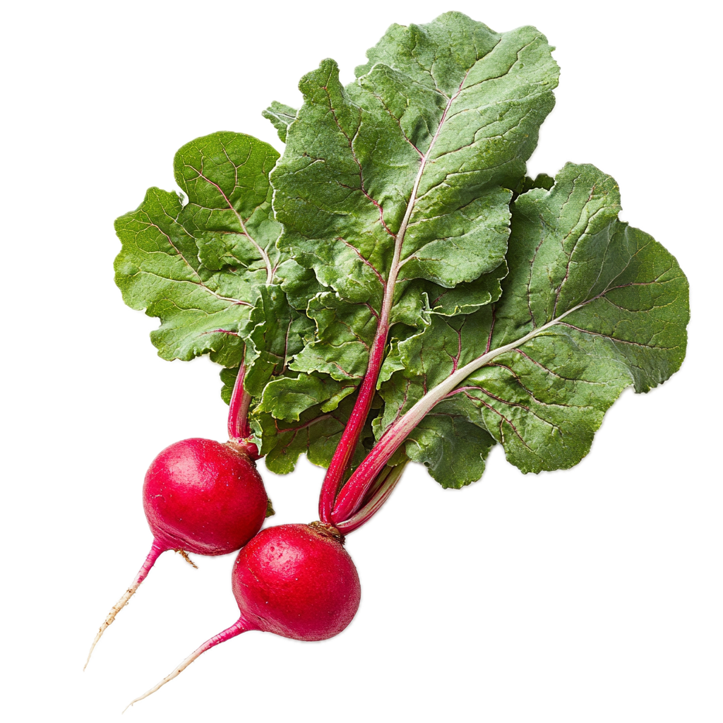 Reddik bunt