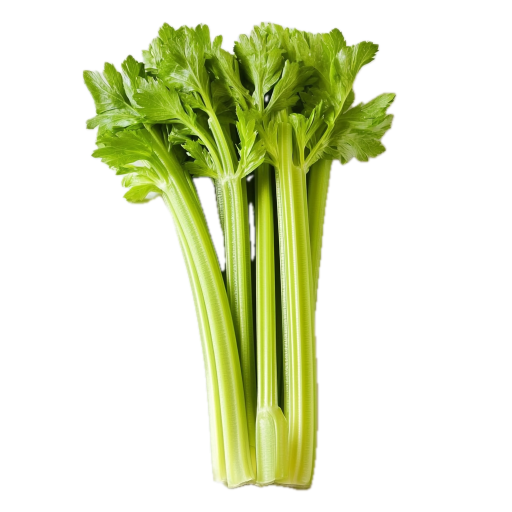 Stangselleri