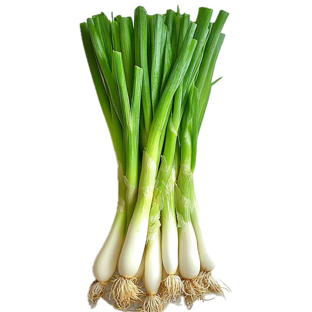 Vårløk bunt